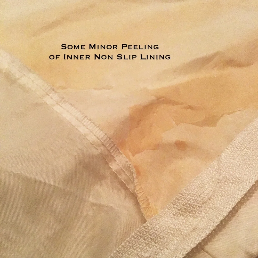 Clean Rest MicronOne Hypoallergenic Full Size Dust Mite Mattress Protector